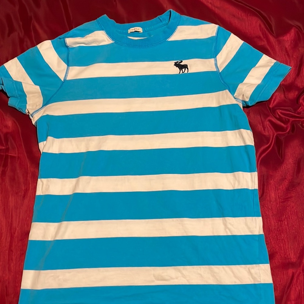 Blue/White Abercrombie & Fitch T-Shirt